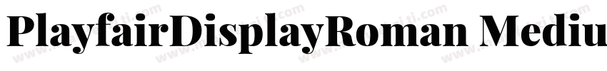 PlayfairDisplayRoman Medium字体转换